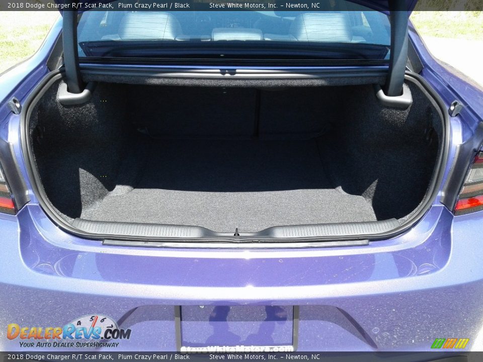2018 Dodge Charger R/T Scat Pack Plum Crazy Pearl / Black Photo #14