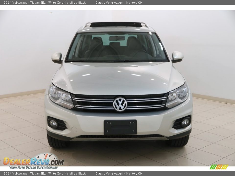 2014 Volkswagen Tiguan SEL White Gold Metallic / Black Photo #2