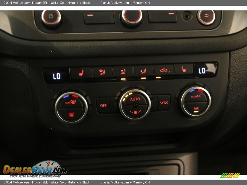 2014 Volkswagen Tiguan SEL White Gold Metallic / Black Photo #11
