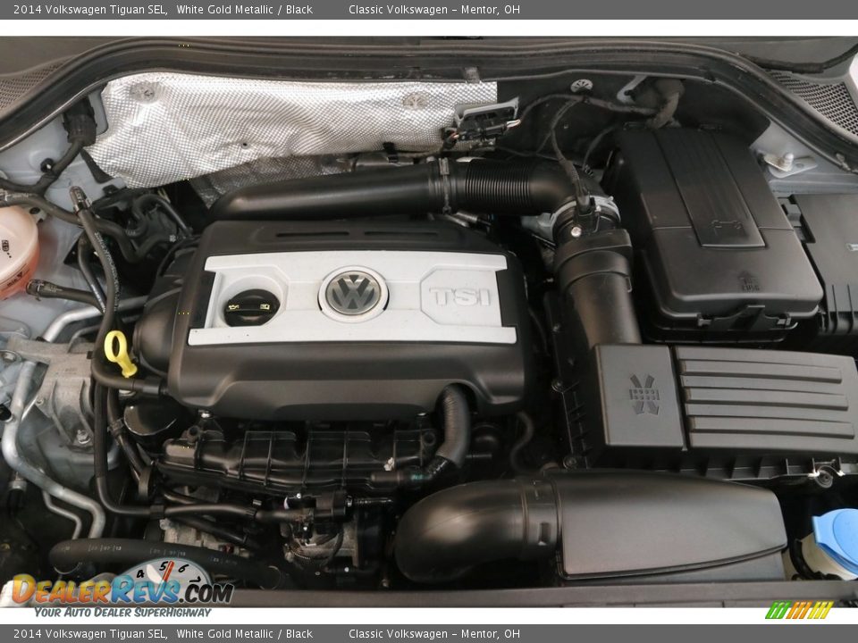 2014 Volkswagen Tiguan SEL White Gold Metallic / Black Photo #18
