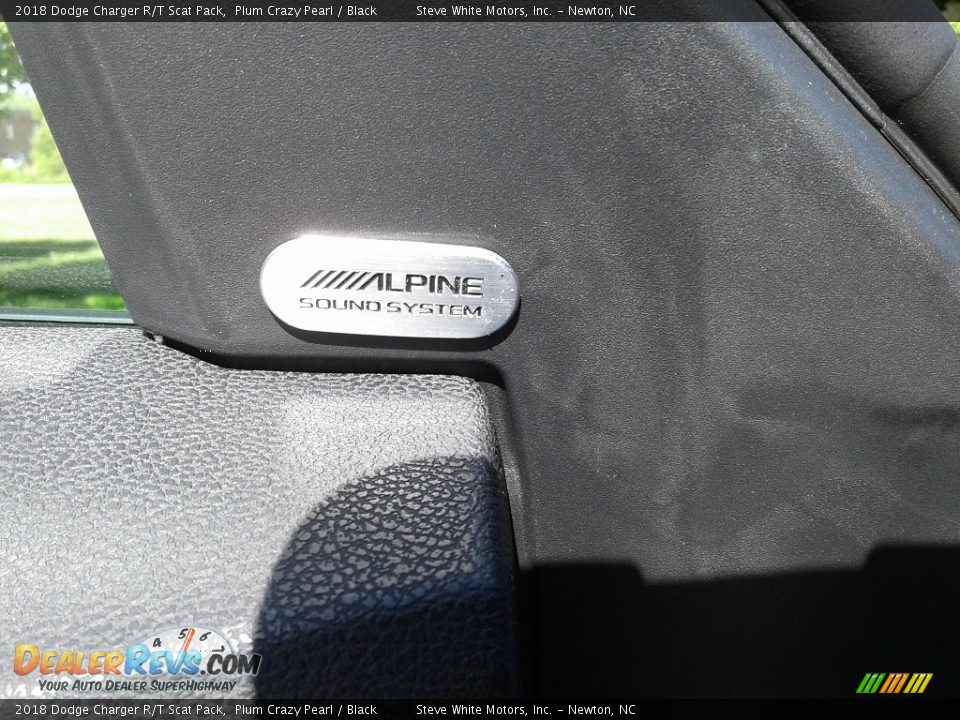 2018 Dodge Charger R/T Scat Pack Plum Crazy Pearl / Black Photo #31