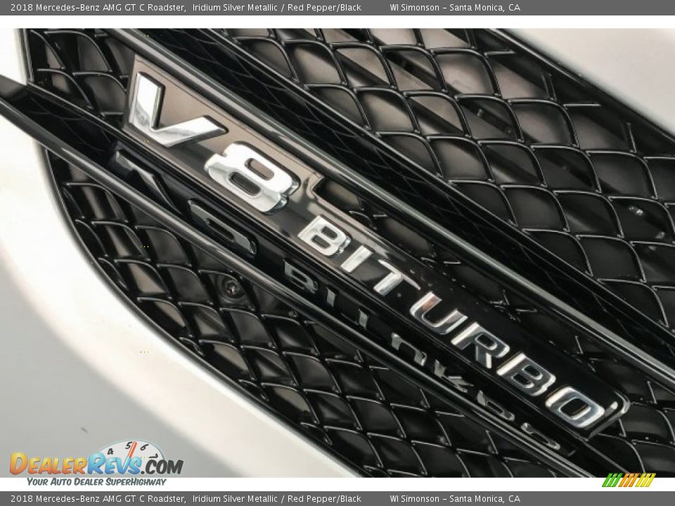 2018 Mercedes-Benz AMG GT C Roadster Iridium Silver Metallic / Red Pepper/Black Photo #13