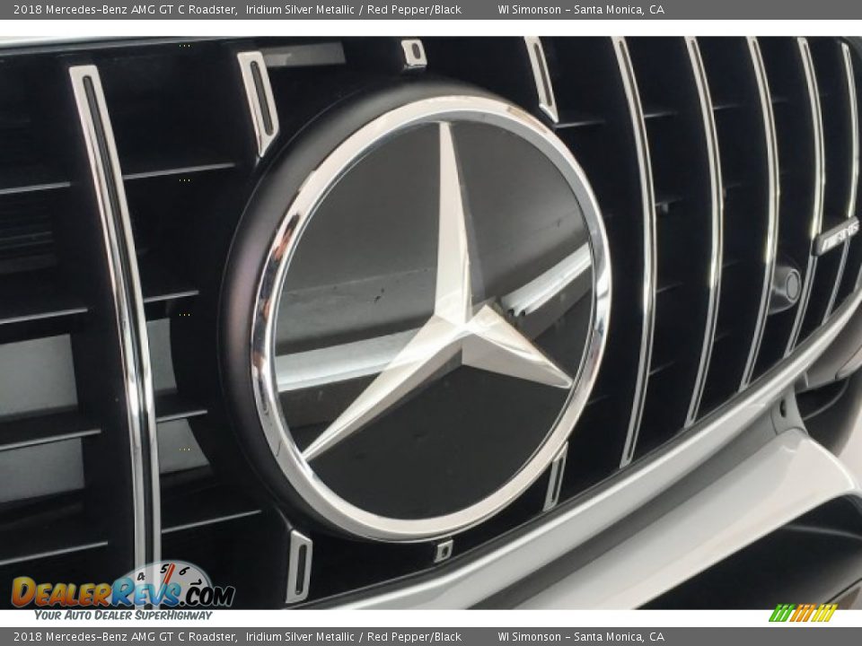 2018 Mercedes-Benz AMG GT C Roadster Iridium Silver Metallic / Red Pepper/Black Photo #33