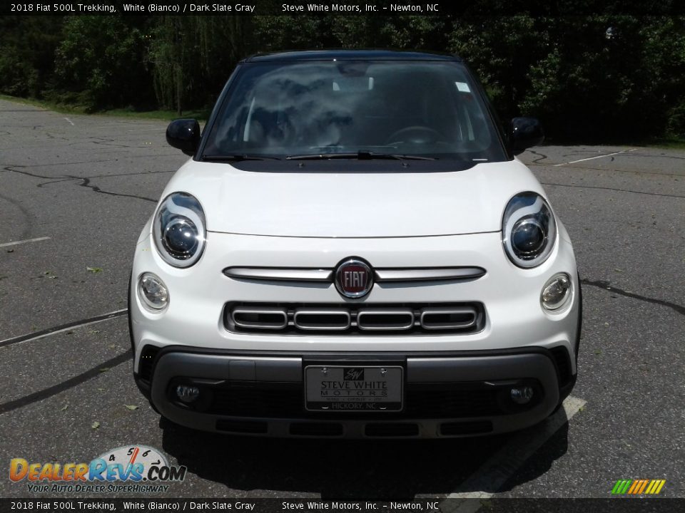 2018 Fiat 500L Trekking White (Bianco) / Dark Slate Gray Photo #3