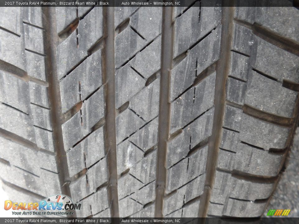 2017 Toyota RAV4 Platinum Blizzard Pearl White / Black Photo #8
