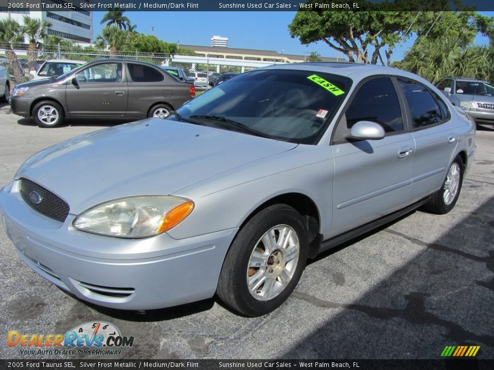2005 Ford Taurus SEL Silver Frost Metallic / Medium/Dark Flint Photo #3