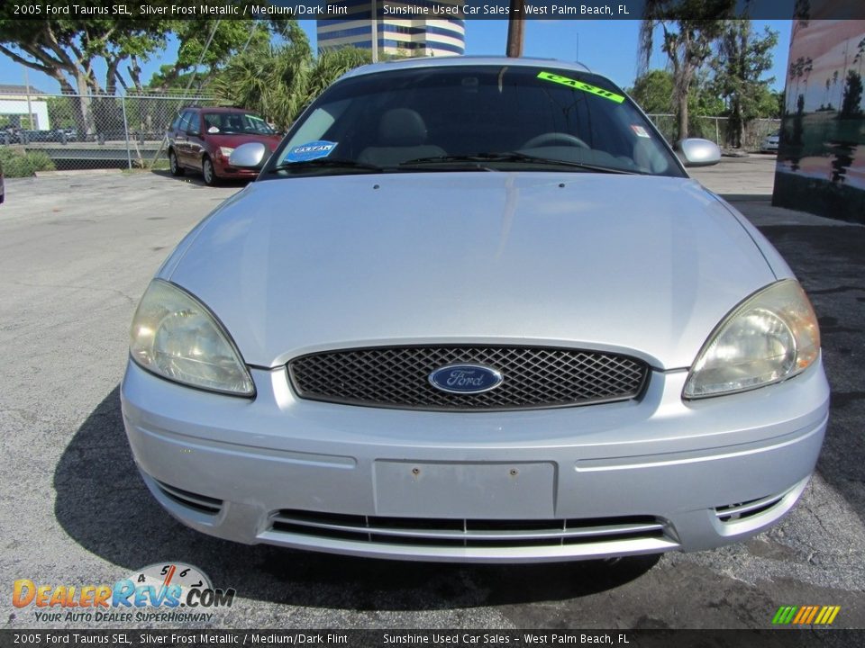 2005 Ford Taurus SEL Silver Frost Metallic / Medium/Dark Flint Photo #4