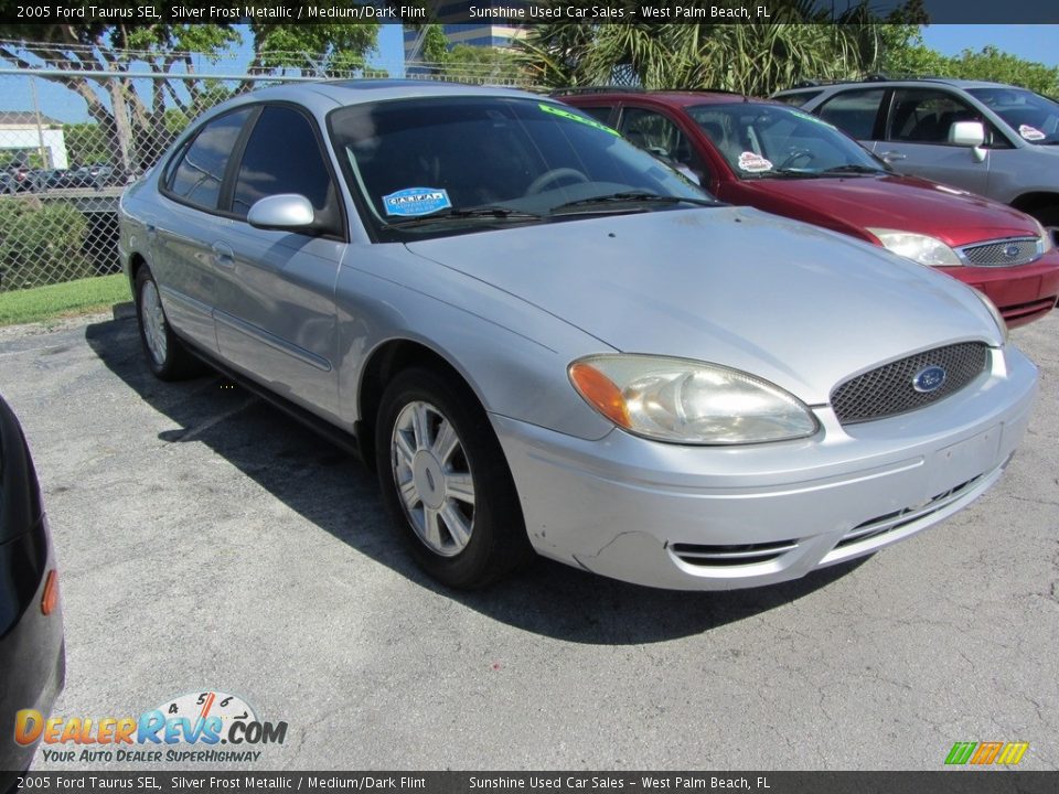 2005 Ford Taurus SEL Silver Frost Metallic / Medium/Dark Flint Photo #5