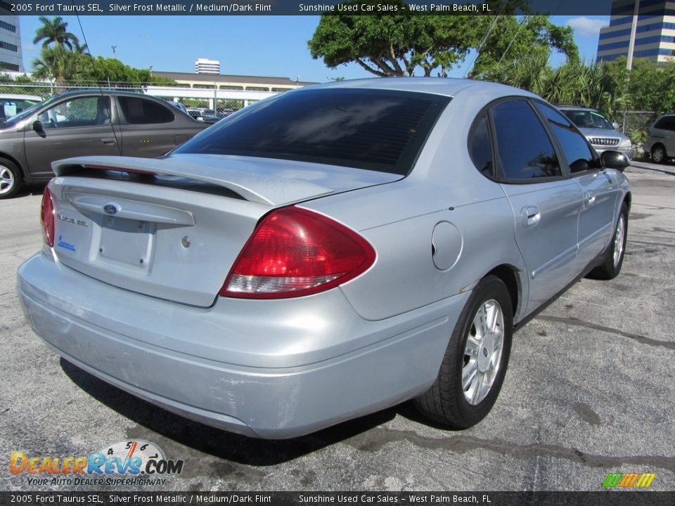2005 Ford Taurus SEL Silver Frost Metallic / Medium/Dark Flint Photo #6