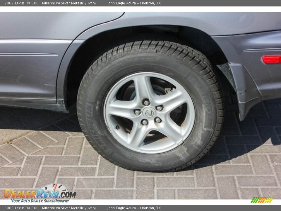 2002 Lexus RX 300 Millennium Silver Metallic / Ivory Photo #10