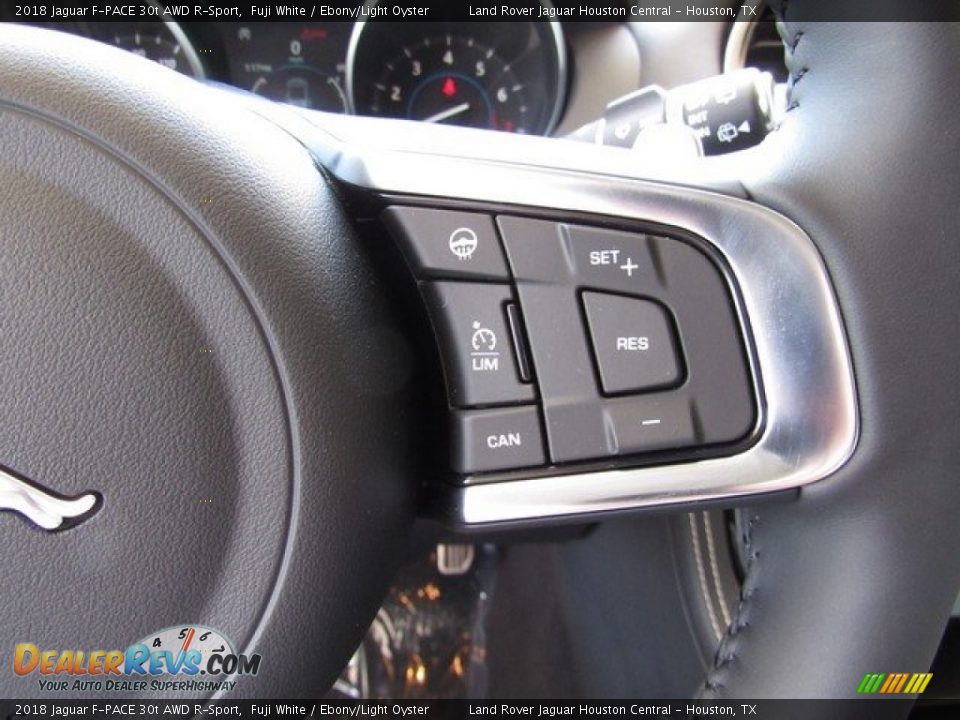 2018 Jaguar F-PACE 30t AWD R-Sport Steering Wheel Photo #30