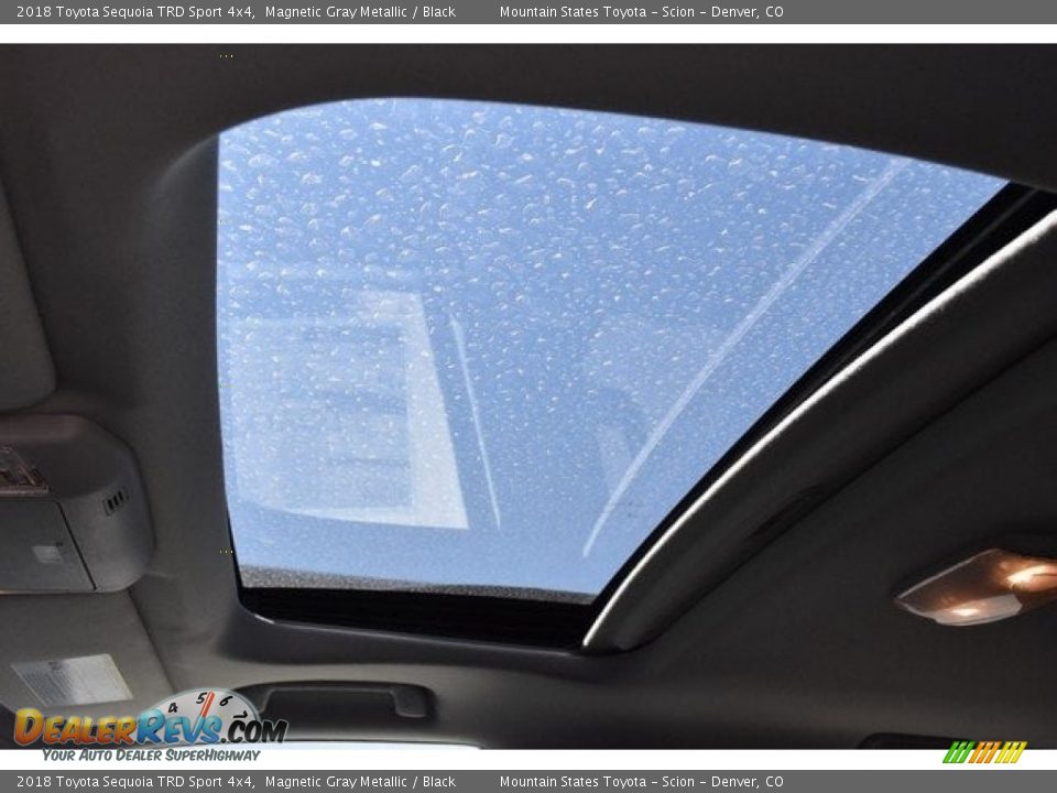 2018 Toyota Sequoia TRD Sport 4x4 Magnetic Gray Metallic / Black Photo #9