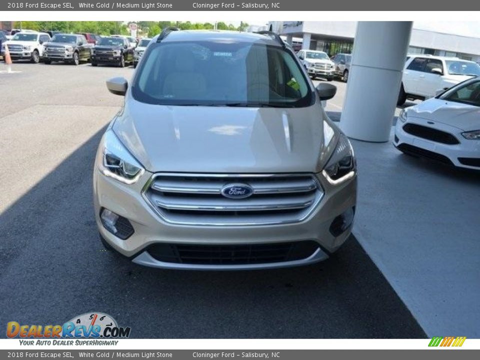 2018 Ford Escape SEL White Gold / Medium Light Stone Photo #5