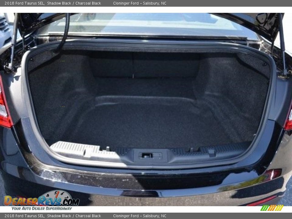 2018 Ford Taurus SEL Shadow Black / Charcoal Black Photo #9