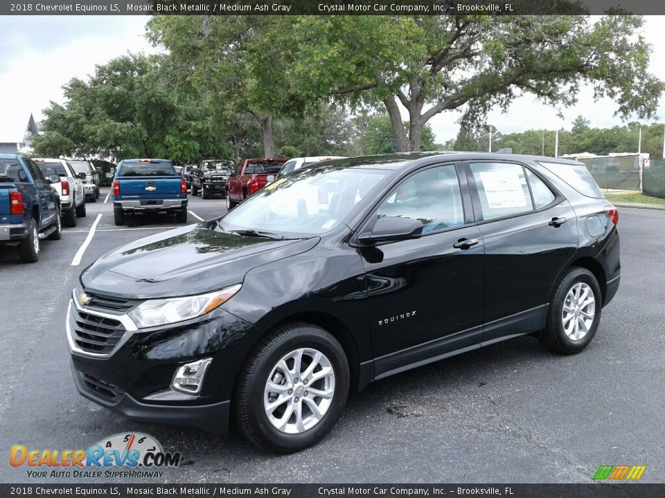 2018 Chevrolet Equinox LS Mosaic Black Metallic / Medium Ash Gray Photo #1