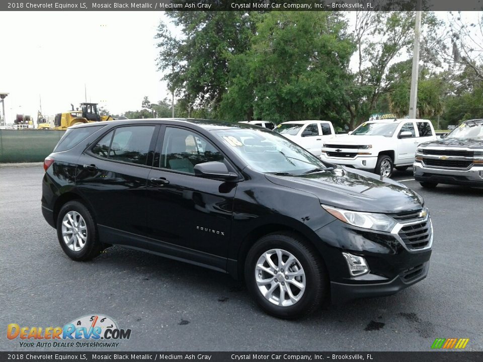 2018 Chevrolet Equinox LS Mosaic Black Metallic / Medium Ash Gray Photo #7