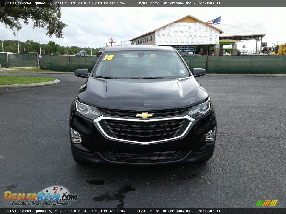2018 Chevrolet Equinox LS Mosaic Black Metallic / Medium Ash Gray Photo #8