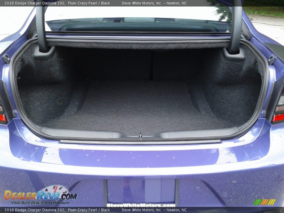 2018 Dodge Charger Daytona 392 Plum Crazy Pearl / Black Photo #12
