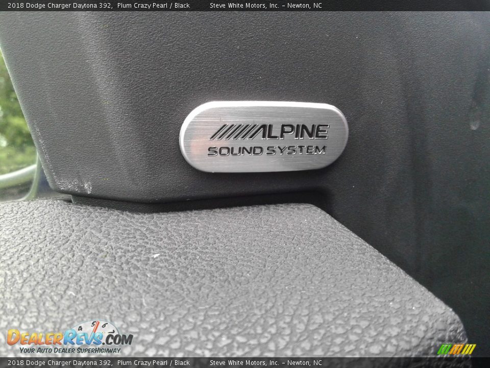 2018 Dodge Charger Daytona 392 Plum Crazy Pearl / Black Photo #31