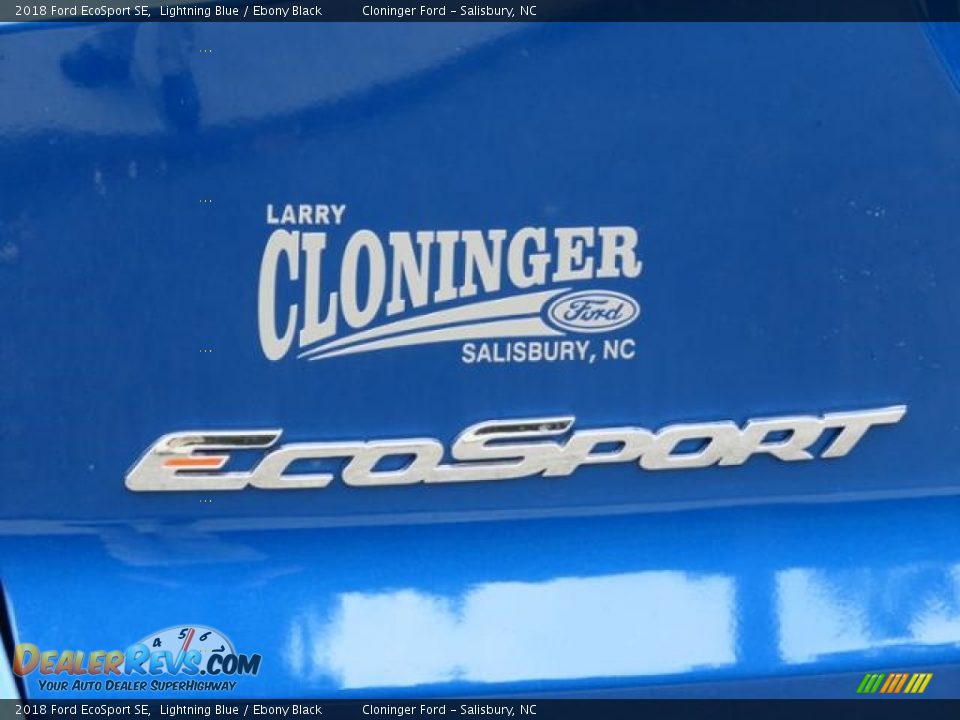 2018 Ford EcoSport SE Lightning Blue / Ebony Black Photo #24