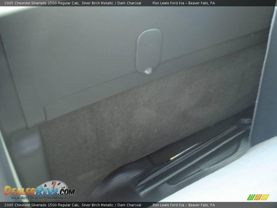 2005 Chevrolet Silverado 1500 Regular Cab Silver Birch Metallic / Dark Charcoal Photo #20