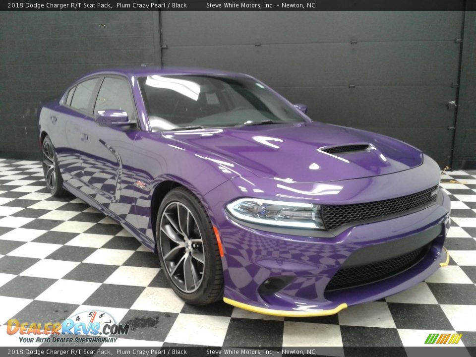 2018 Dodge Charger R/T Scat Pack Plum Crazy Pearl / Black Photo #4