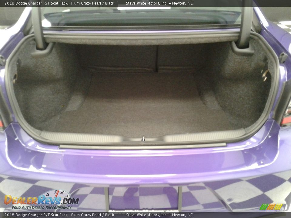 2018 Dodge Charger R/T Scat Pack Plum Crazy Pearl / Black Photo #13