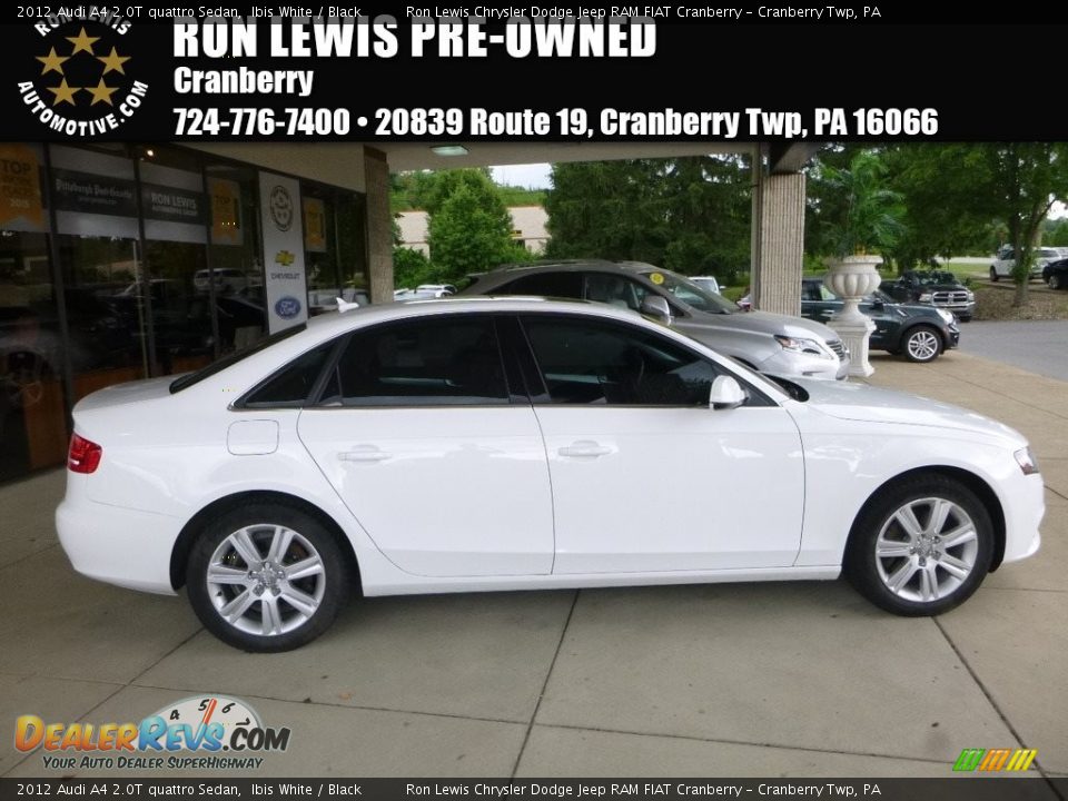 2012 Audi A4 2.0T quattro Sedan Ibis White / Black Photo #1