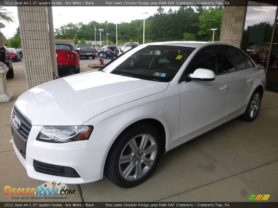 2012 Audi A4 2.0T quattro Sedan Ibis White / Black Photo #5