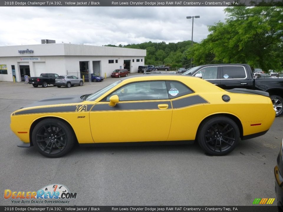 Yellow Jacket 2018 Dodge Challenger T/A 392 Photo #2