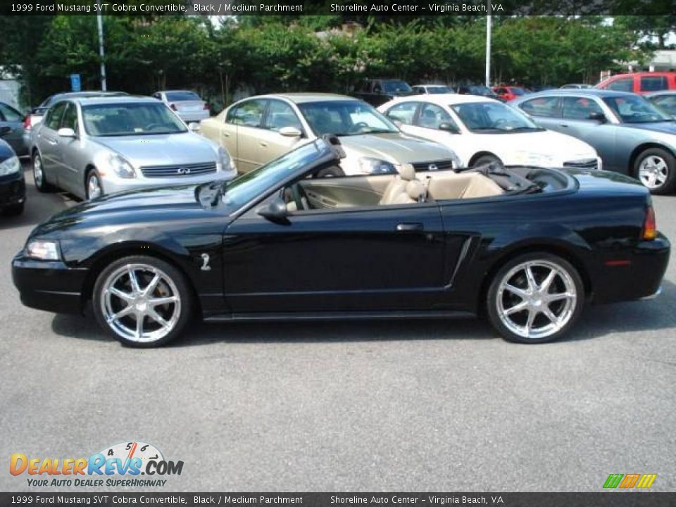 1999 Ford Mustang SVT Cobra Convertible Black / Medium Parchment Photo #2