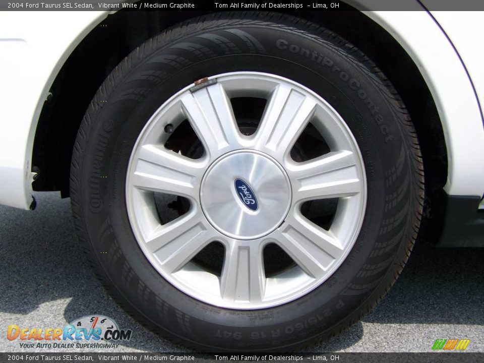 2004 Ford Taurus SEL Sedan Vibrant White / Medium Graphite Photo #8