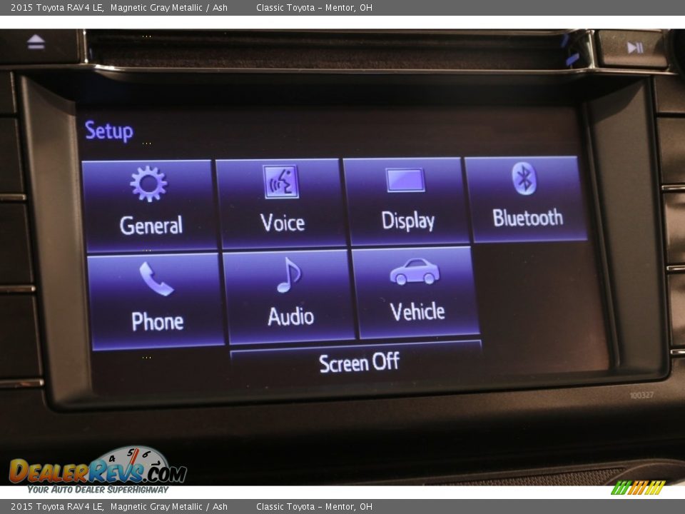 2015 Toyota RAV4 LE Magnetic Gray Metallic / Ash Photo #10