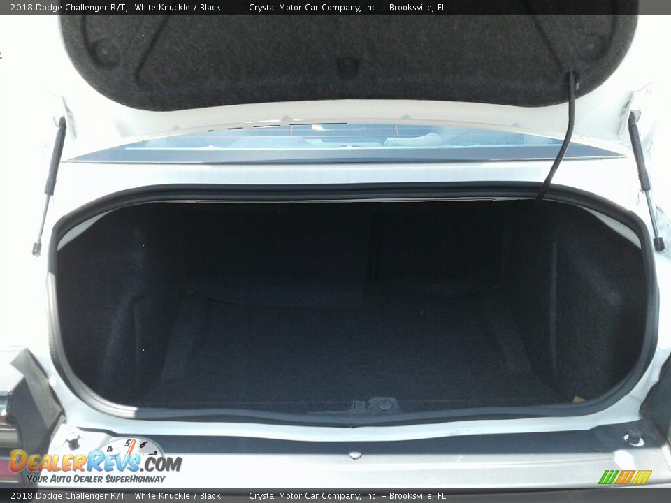 2018 Dodge Challenger R/T White Knuckle / Black Photo #19