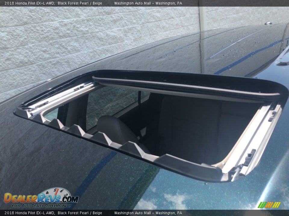 2018 Honda Pilot EX-L AWD Black Forest Pearl / Beige Photo #9
