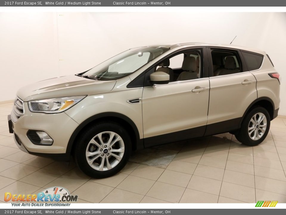 2017 Ford Escape SE White Gold / Medium Light Stone Photo #3