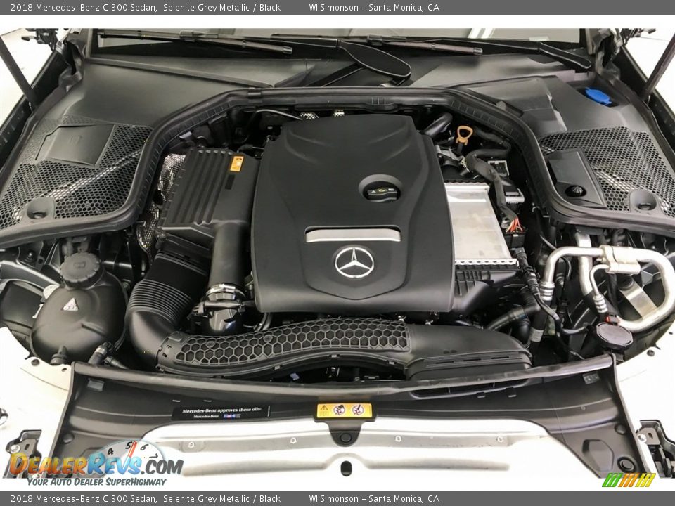 2018 Mercedes-Benz C 300 Sedan Selenite Grey Metallic / Black Photo #8