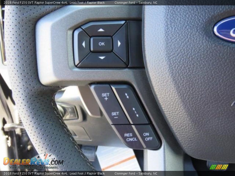 2018 Ford F150 SVT Raptor SuperCrew 4x4 Lead Foot / Raptor Black Photo #17