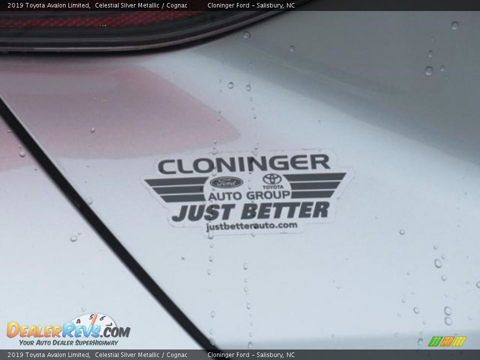 2019 Toyota Avalon Limited Celestial Silver Metallic / Cognac Photo #25