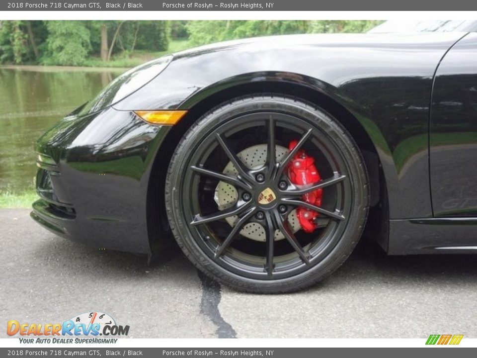 2018 Porsche 718 Cayman GTS Wheel Photo #9