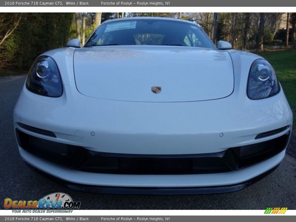 2018 Porsche 718 Cayman GTS White / Black Photo #2