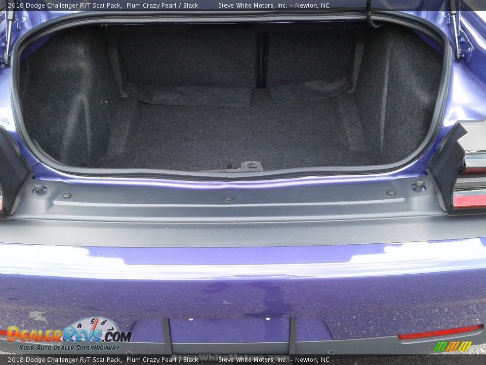 2018 Dodge Challenger R/T Scat Pack Plum Crazy Pearl / Black Photo #12