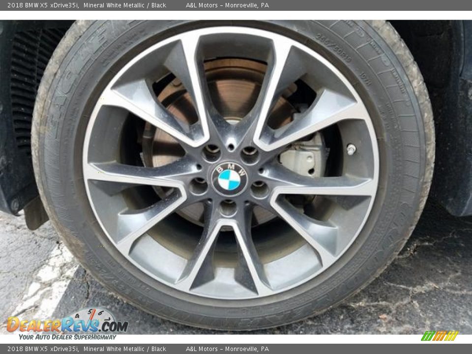 2018 BMW X5 xDrive35i Mineral White Metallic / Black Photo #9