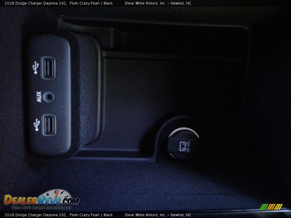 2018 Dodge Charger Daytona 392 Plum Crazy Pearl / Black Photo #29