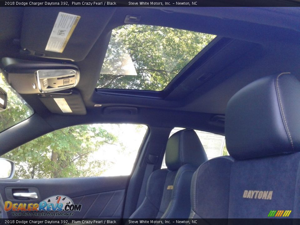 2018 Dodge Charger Daytona 392 Plum Crazy Pearl / Black Photo #30