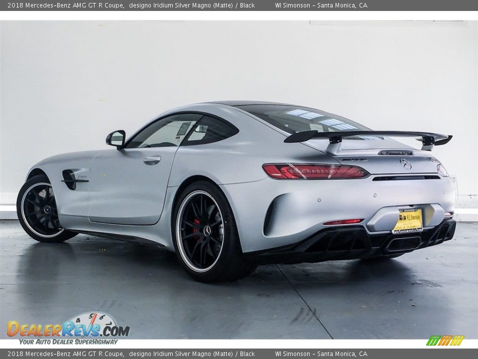 2018 Mercedes-Benz AMG GT R Coupe designo Iridium Silver Magno (Matte) / Black Photo #10