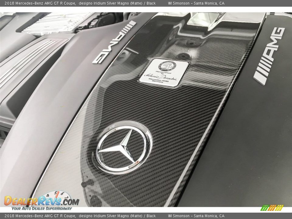 2018 Mercedes-Benz AMG GT R Coupe Logo Photo #27
