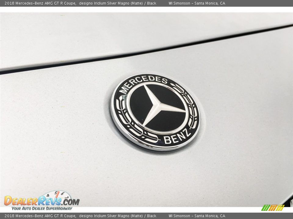 2018 Mercedes-Benz AMG GT R Coupe designo Iridium Silver Magno (Matte) / Black Photo #29