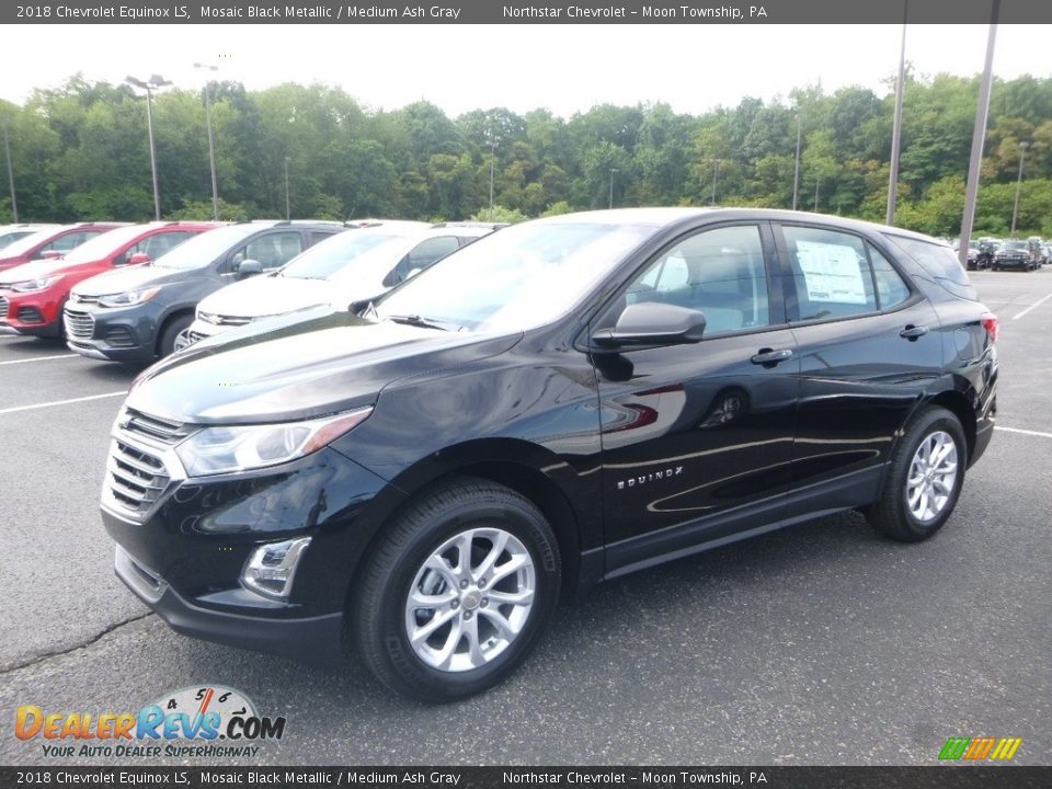 2018 Chevrolet Equinox LS Mosaic Black Metallic / Medium Ash Gray Photo #1