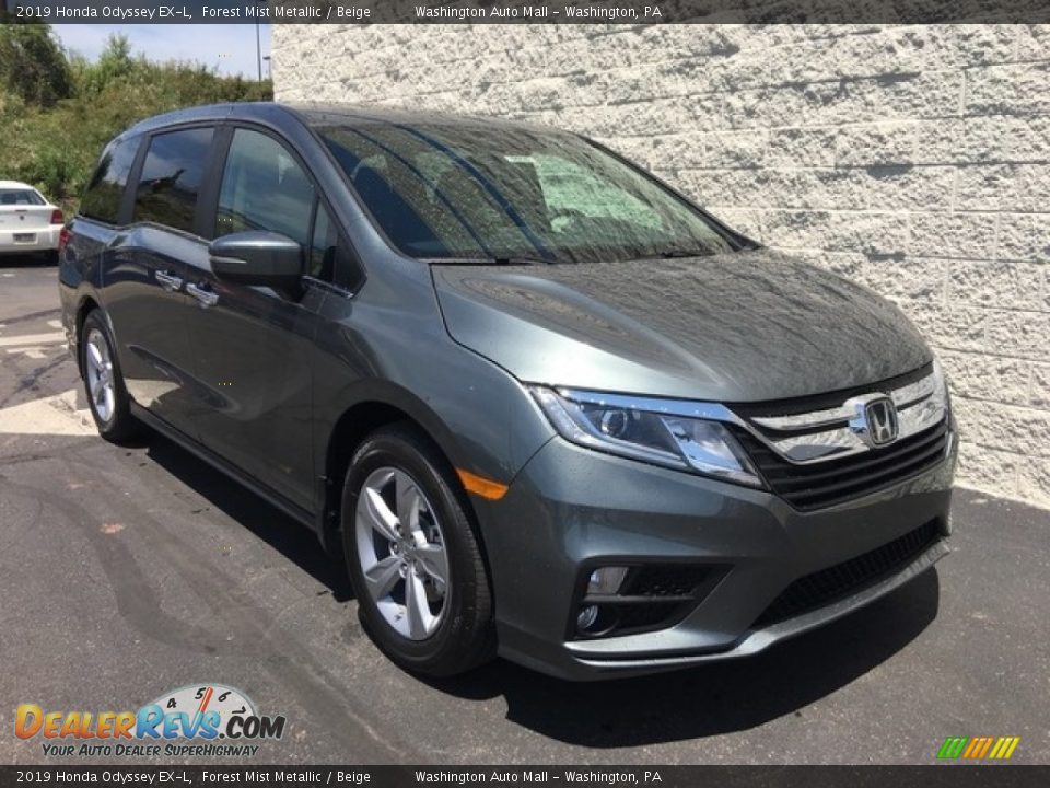 2019 Honda Odyssey EX-L Forest Mist Metallic / Beige Photo #1